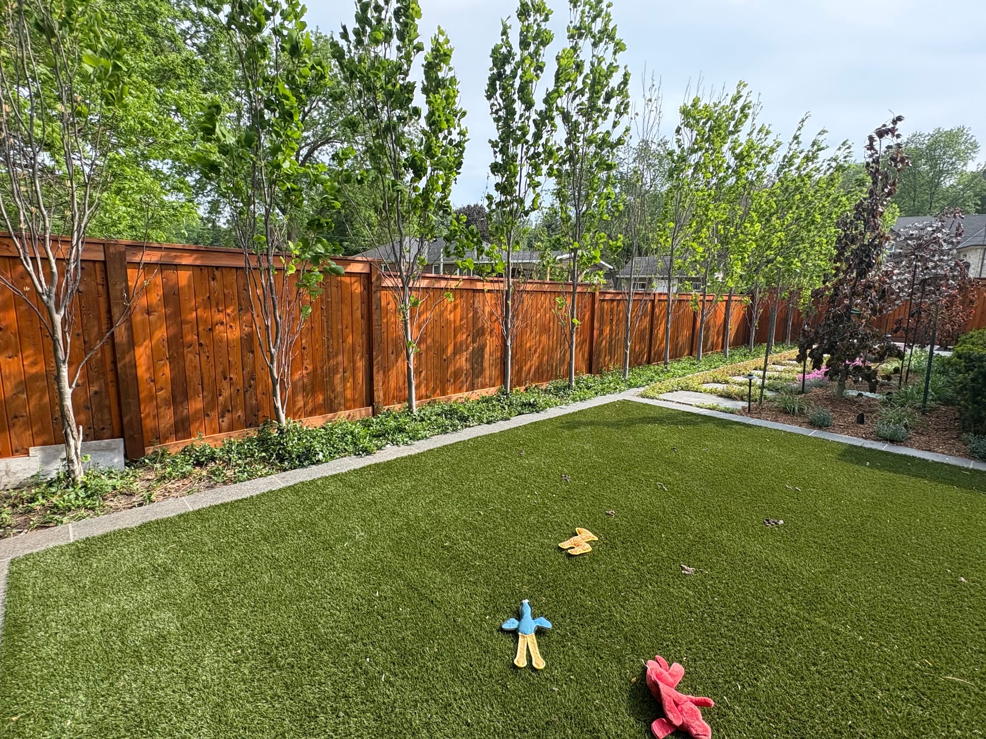 A freshly stained cedar privacy fence along a landscaped backyard in Glen Williams, ON, finished by Alicka Paint Services.
